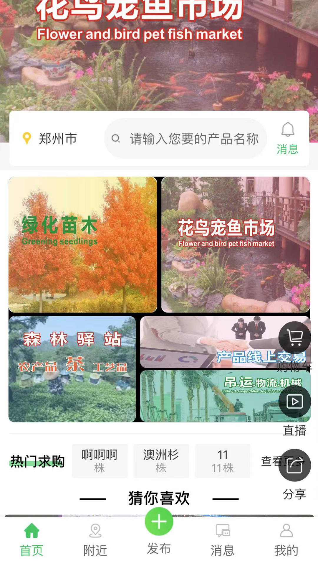 花木森林手机正版