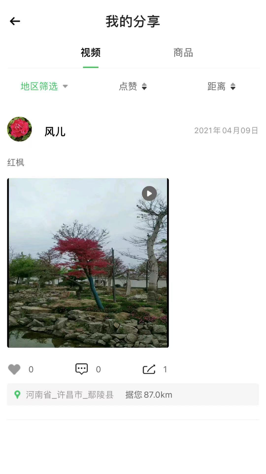 花木森林手机正版