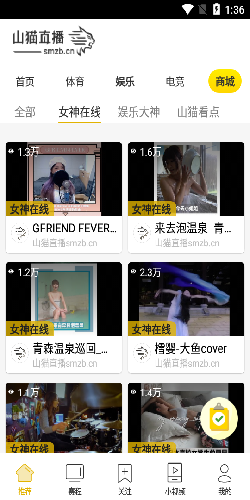 山猫直播体育网页版APP