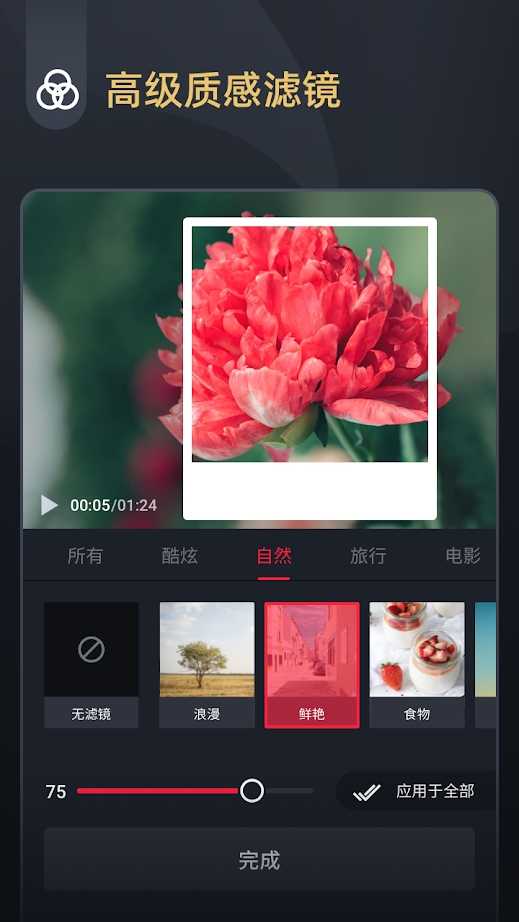 vmix中文软件vmix19修改版