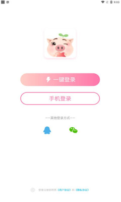 憨小猪交友软件手机版下载安装