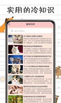 小猫交流器app免费版图片1