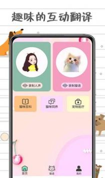 小猫交流器app免费版下载