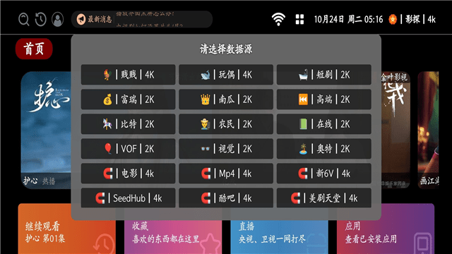 金叶PRO内置版