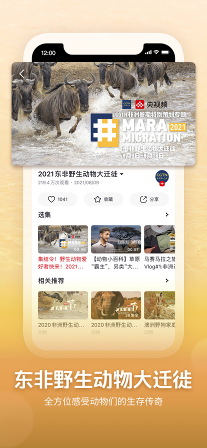 央视频app2022图片1