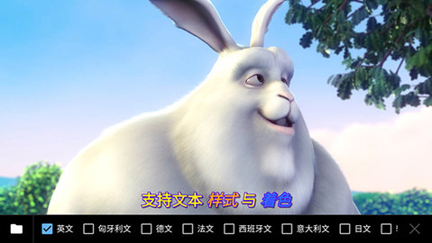ZoZo Player安卓版手机安装包