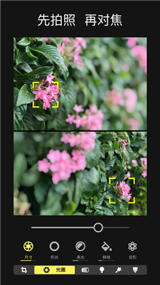 497x883bb (2).jpg