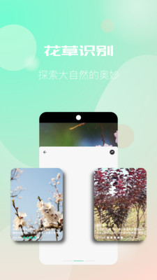 拍照识图助手