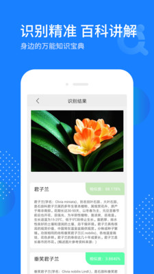 拍照识别助手