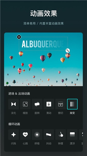 VNapp