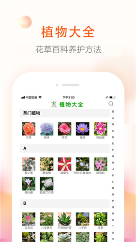 拍照识花君