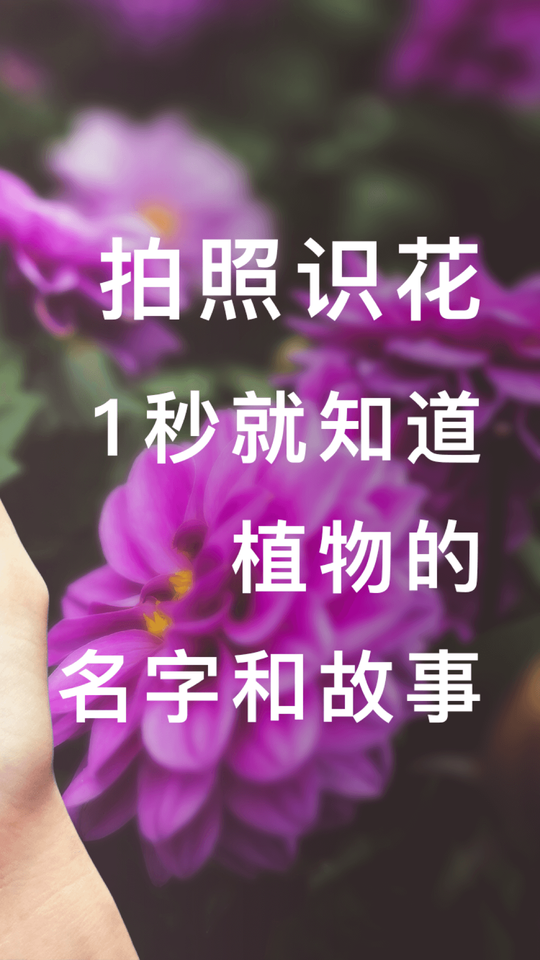 93e2cd812e152807b19c28da5bae83d2.png