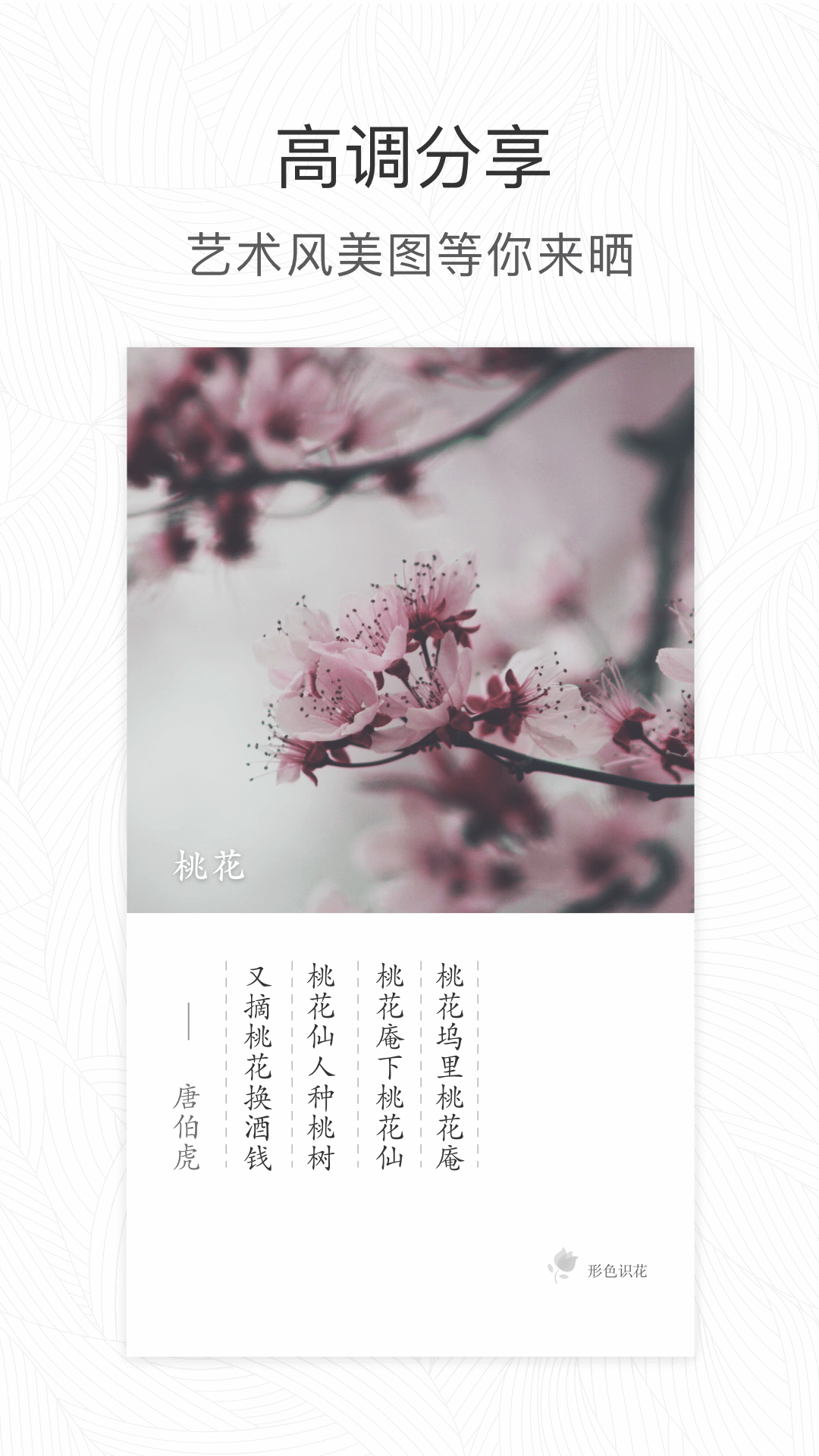 拍照识花草钦件