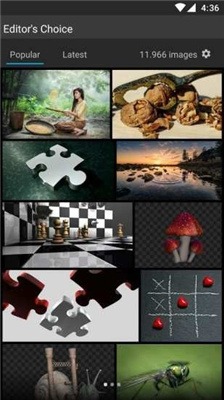 pixabay免费正版