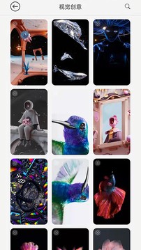 幻影动态壁纸app