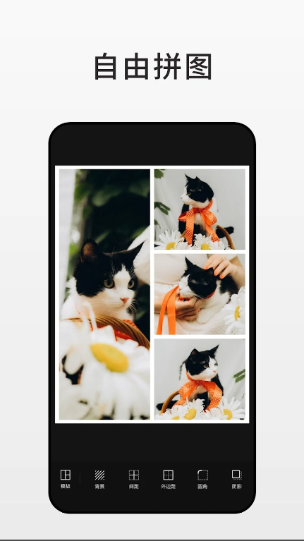 fotor照片编辑工具手机版免费下载
