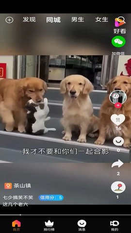 斗比短视频app