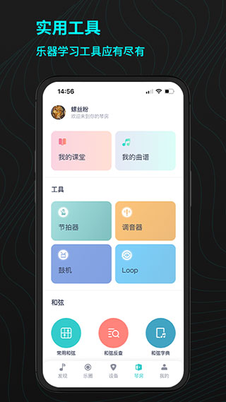 恩雅音乐专业版APP下载