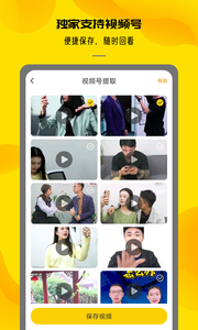 视频提取大师