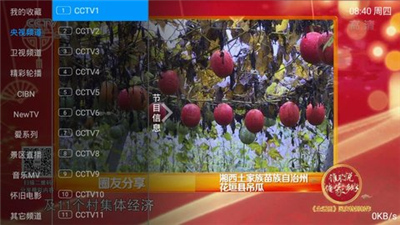 卡卡直播