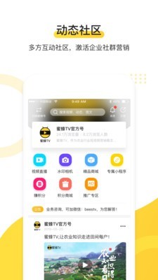 蜜蜂直播tv版