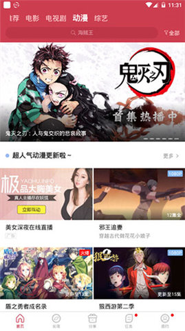白鲸影视苹果版