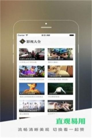 兴兴影视