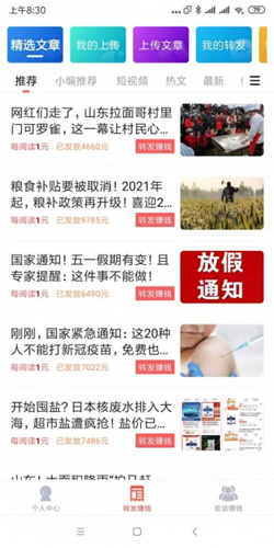 白雁看点