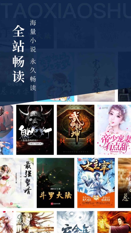 淘小说苹果版