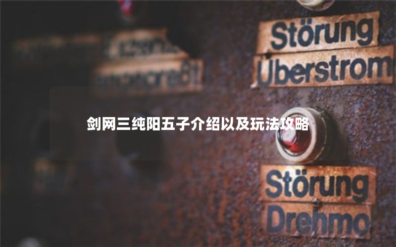 剑网三纯阳五子介绍以及玩法攻略