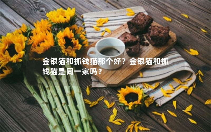 金银猫和抓钱猫那个好？金银猫和抓钱猫是同一家吗？
