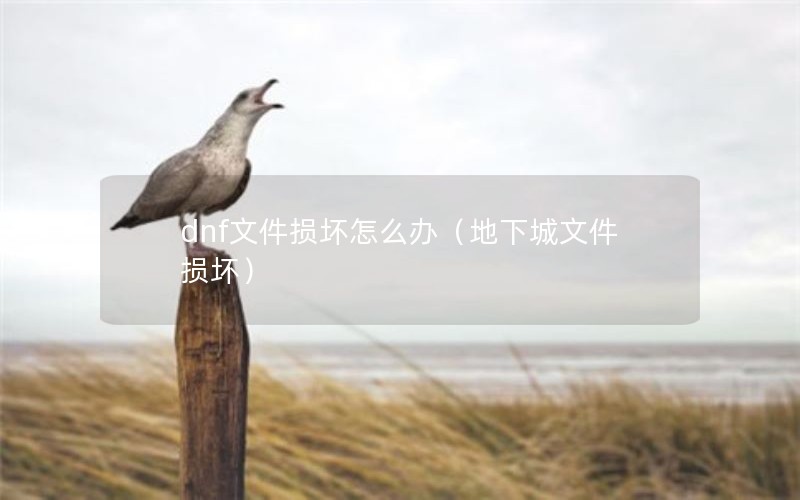dnf文件损坏怎么办（地下城文件损坏）