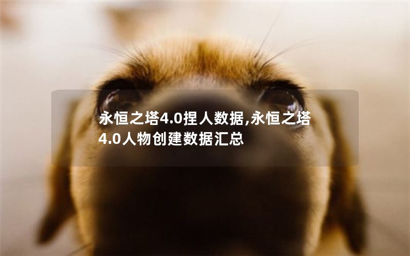 永恒之塔4.0捏人数据,永恒之塔4.0人物创建数据汇总