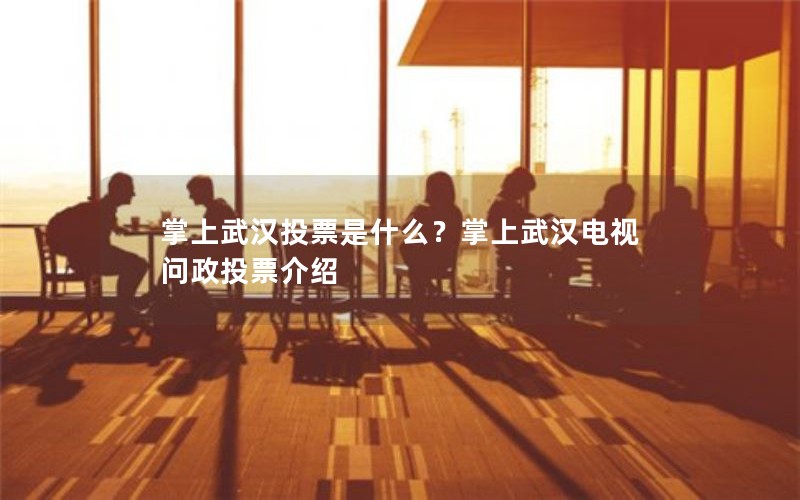 掌上武汉投票是什么？掌上武汉电视问政投票介绍