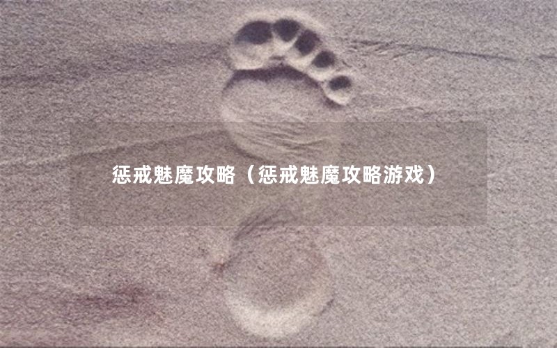 惩戒魅魔攻略（惩戒魅魔攻略游戏）