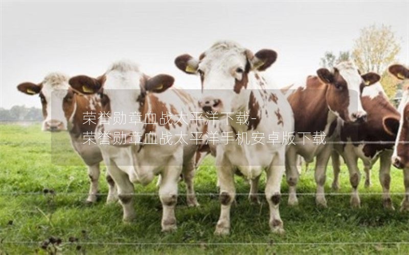 荣誉勋章血战太平洋下载-荣誉勋章血战太平洋手机安卓版下载