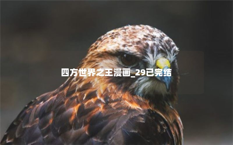 四方世界之王漫画_29已完结