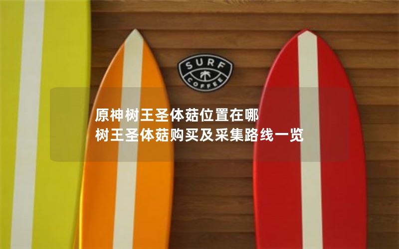 原神树王圣体菇位置在哪 树王圣体菇购买及采集路线一览