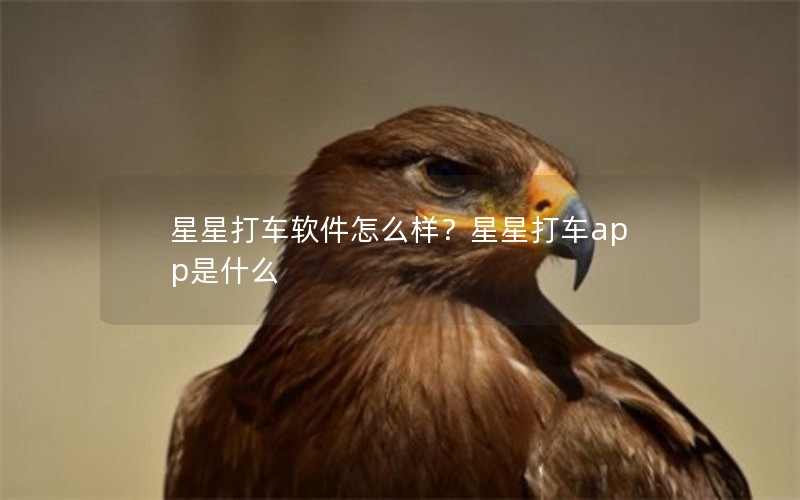 星星打车软件怎么样？星星打车app是什么