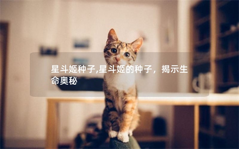 星斗姬种子,星斗姬的种子，揭示生命奥秘