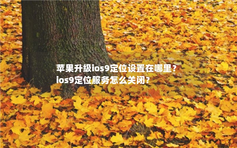 苹果升级ios9定位设置在哪里？ios9定位服务怎么关闭？