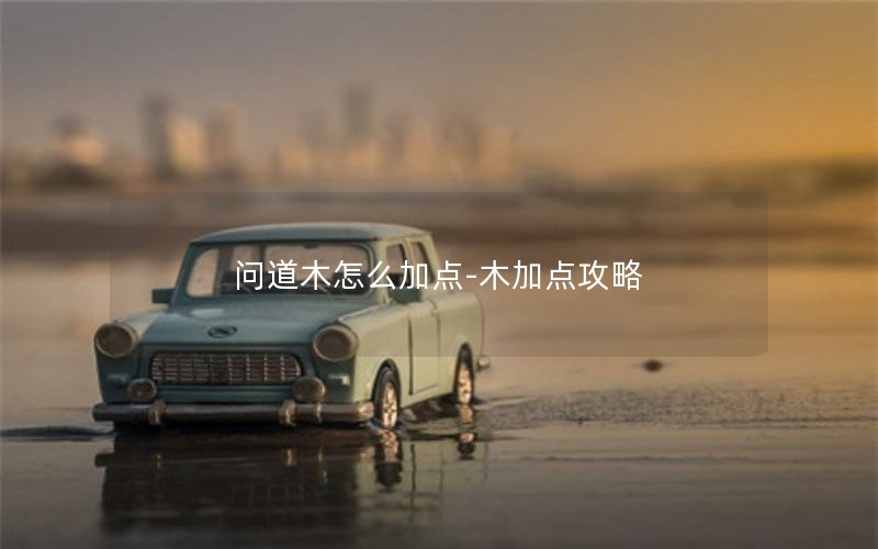 问道木怎么加点-木加点攻略