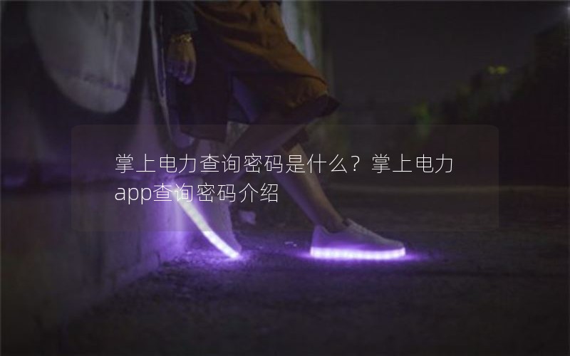 掌上电力查询密码是什么？掌上电力app查询密码介绍