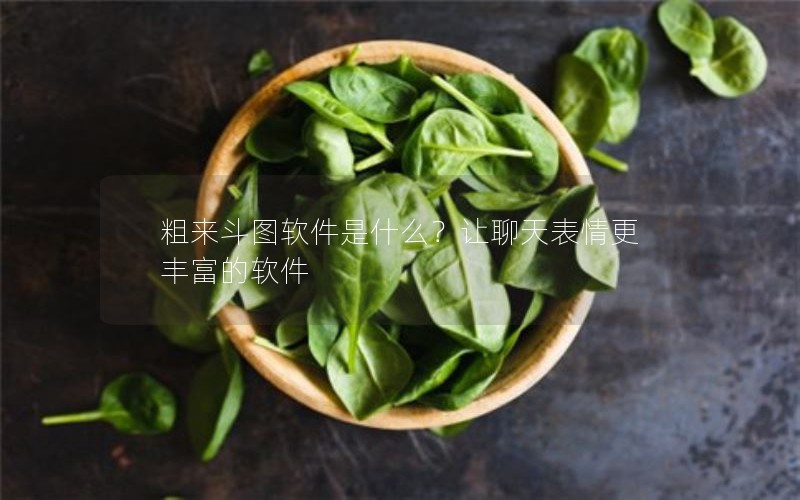 粗来斗图软件是什么？让聊天表情更丰富的软件