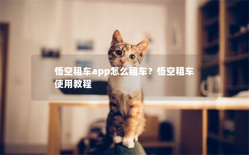 悟空租车app怎么租车？悟空租车使用教程