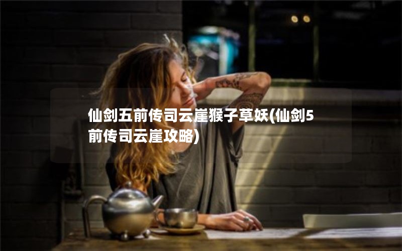仙剑五前传司云崖猴子草妖(仙剑5前传司云崖攻略)