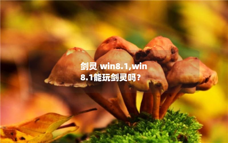 剑灵 win8.1,win 8.1能玩剑灵吗？