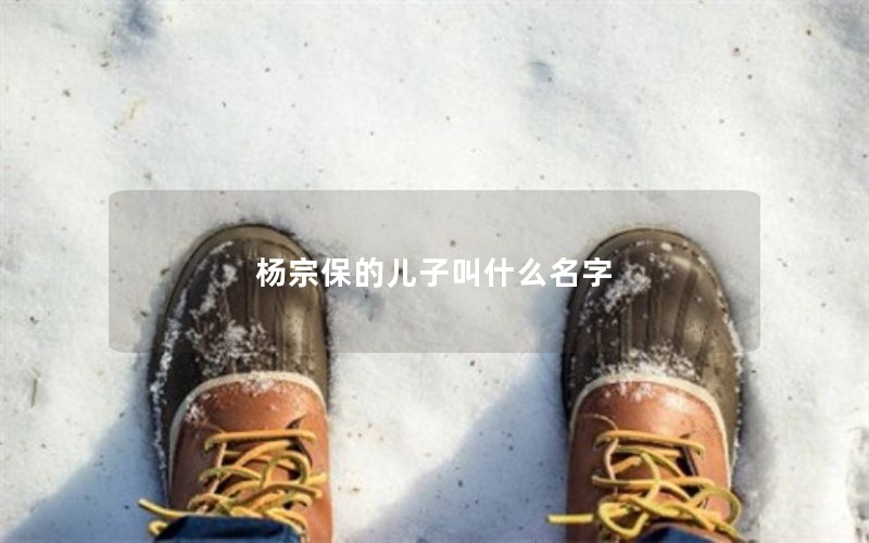 杨宗保的儿子叫什么名字