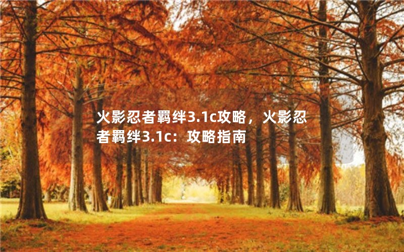 火影忍者羁绊3.1c攻略，火影忍者羁绊3.1c：攻略指南