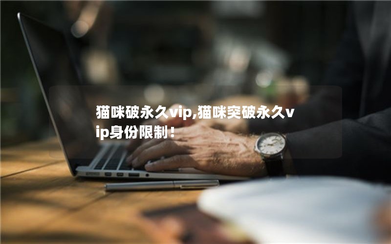 猫咪破永久vip,猫咪突破永久vip身份限制！